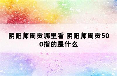 阴阳师周贡哪里看 阴阳师周贡500指的是什么